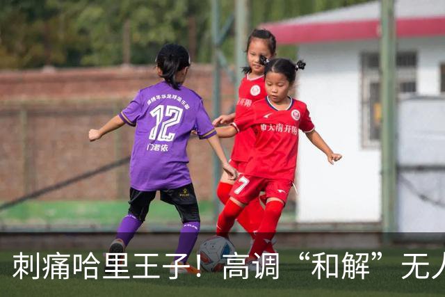 刺痛哈里王子！高调“和解”无人应答，查尔斯威廉同框显父子情深